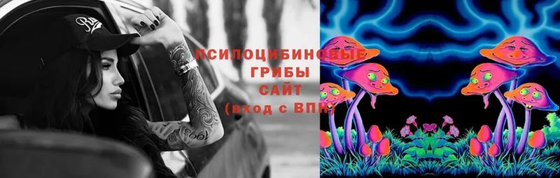 Галлюциногенные грибы MAGIC MUSHROOMS  Слободской 